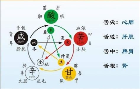 五行對應顏色|五行的顏色，色彩世界中的金木水火土 – 星玄説